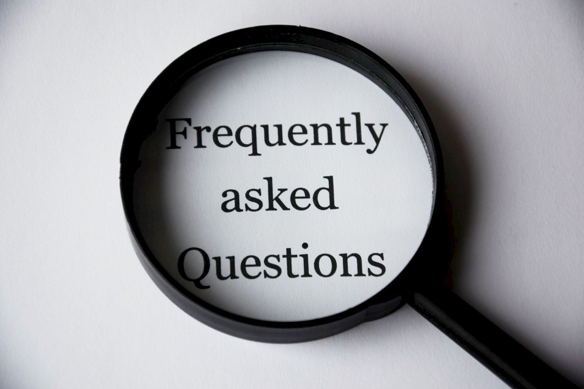 10 Questions to Ask a Business Owner for Better Insights